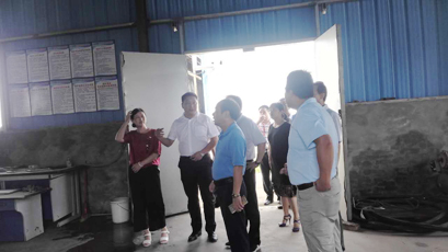 市领导到爱游戏平台大药厂视察工作