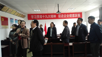 九江市柴桑区委书记骆效农考察爱游戏平台党建工作