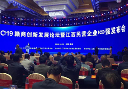 爱游戏平台集团再次入选江西民营企业100强